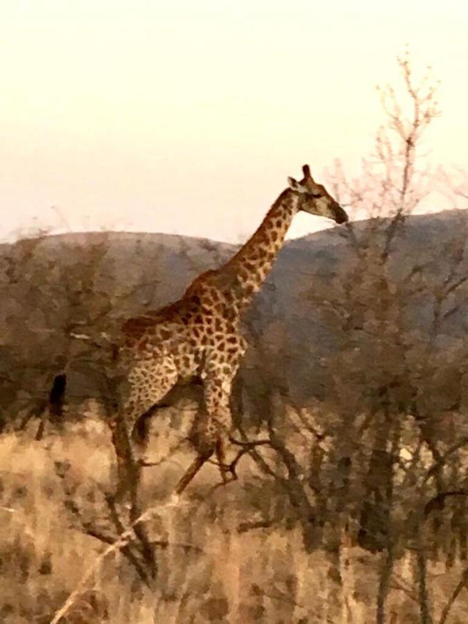 Kuwisa Lodge Bela-Bela Esterno foto